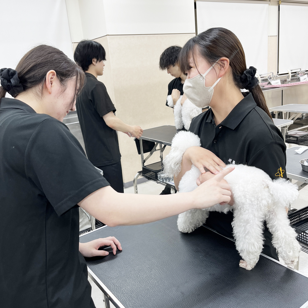２年生の看護実習